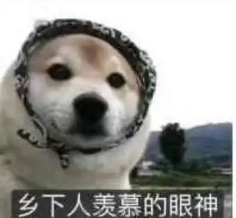 DƬ